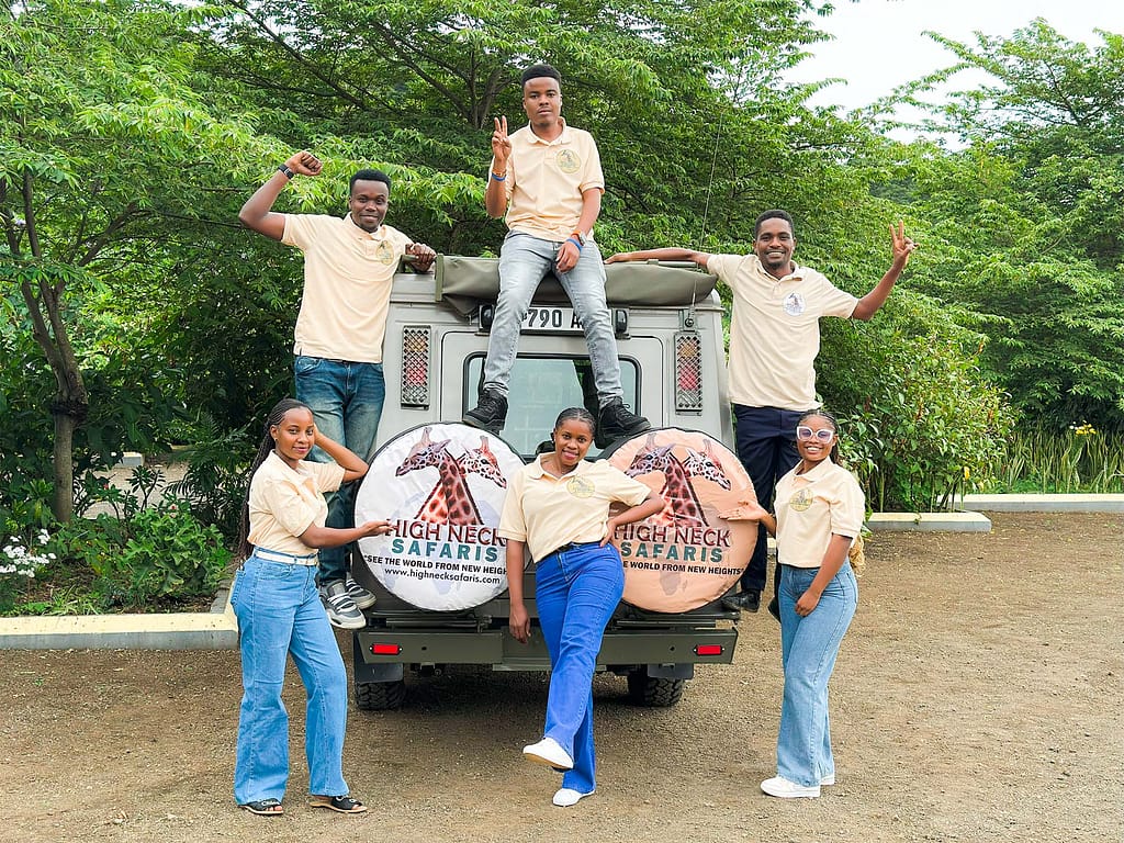 Top African safaris