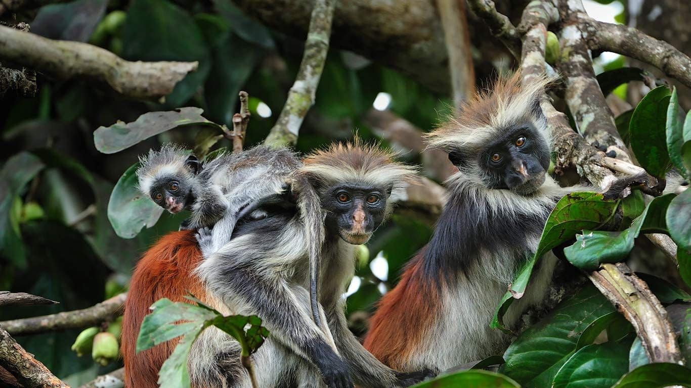 TOP AFRICAN DESTINATION
