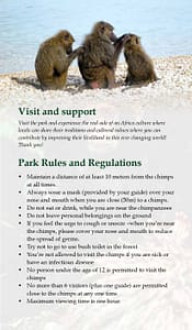 gombe national park