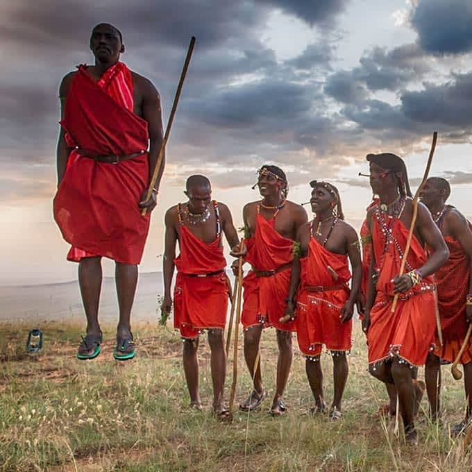 Safaris contact